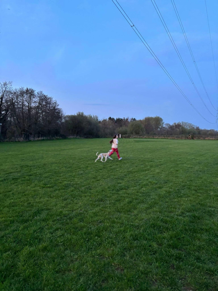 Wide View of the field
