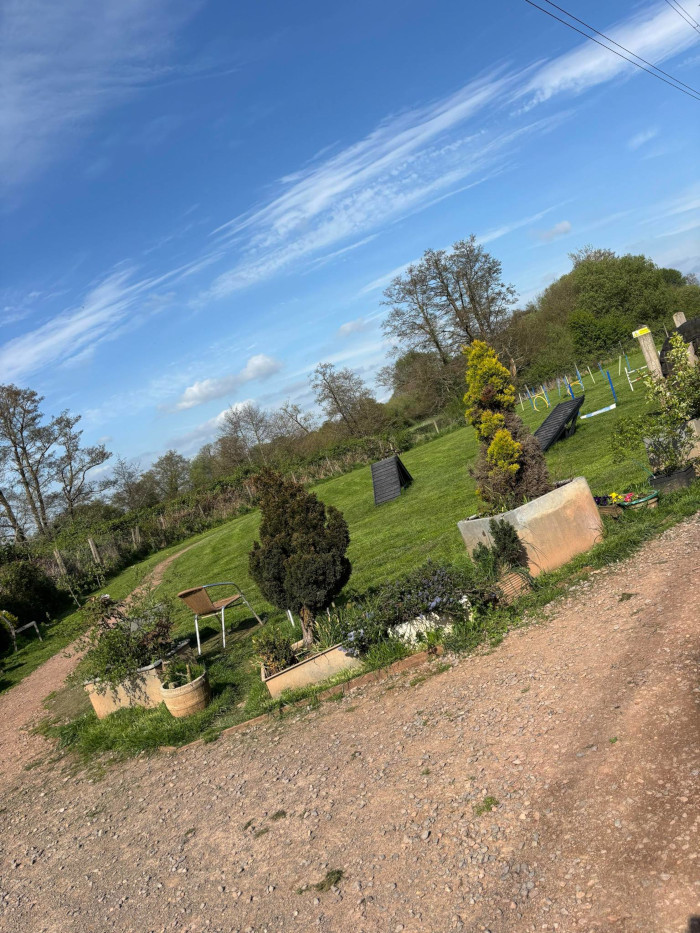 The path and the field